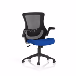 Dynamic Orbit High Mesh Back Task Office Chair With Bespoke Stevia Blu
