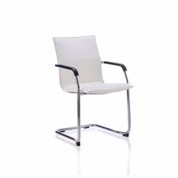 Sleek design meeting chair is ideal for boardrooms with its unique all in one soft leather shell. curved chrome frame and pad ...
