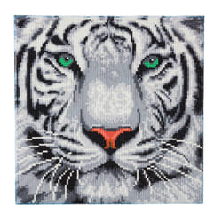 CRAFT Buddy White Tiger