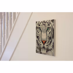 CRAFT Buddy White Tiger