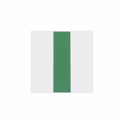 TIMco P1GREEN Flat Packers Green 100mm x 28mm x 1mm Bag of 200