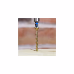TIMCO C2 Strong-Fix Multi-Purpose Premium Countersunk Gold Woodscrews - 5.0 x 40