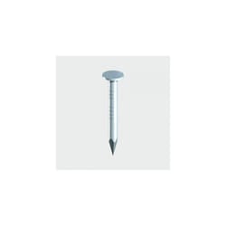TIMco GCN40P Galvanised Clout Nails 40 x 2.65mm Bag of 100