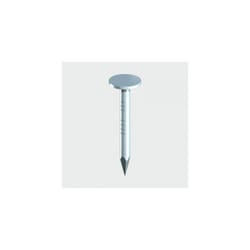 TIMco GEC30P Galvanised ELH Clout Nails 30 x 3.00mm Bag of 100