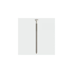 TIMco SSAR100B Annular Ringshank Nails A2 SS 100 x 4.50mm 1.00 KG