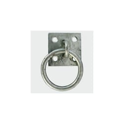 TIMco RP2GB Ring on Plate Galv