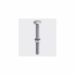 TIMco 10100CBSSP Carriage Bolt SS 10 x 100mm Bag of 2