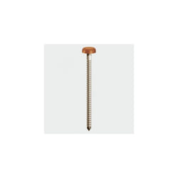 TIMco PP30CB Polymer Headed Pin Clay Brown 30mm Box of 250