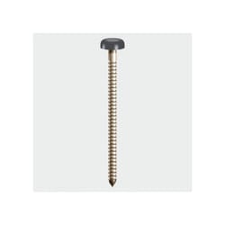 âââââââTIMco Polymer Headed Pins - 40mm