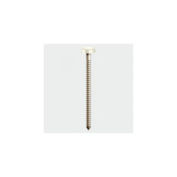 TIMco PP40CC Polymer Headed Pin Cream 40mm Box of 250
