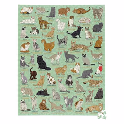 Wild & Wolf Ridley's's Games Cat Lovers Puzzle da 1000 pezzi