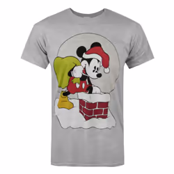 Disney Short Sleeved T-Shirt (Mens Grey)