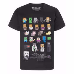 Minecraft Sprites Boys Black T-Shirt - 12-13 Years