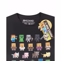 Minecraft Sprites Boys Black T-Shirt - 12-13 Years