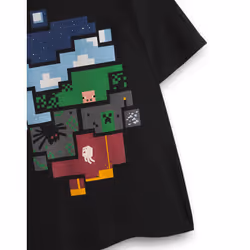 Minecraft Short Sleeved T-Shirt (Boys Black) - 5-6 Years