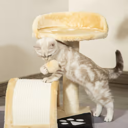PawHut Cat Tree Kitten Scratching Scratcher Cosy Sisal Home Play Rest Activity - Additional view 6
