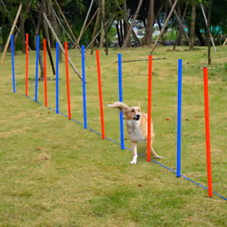 PawHut Pet Agility Set Training Dogs Outdoor Outward Play Adjustable Pole