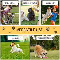 PawHut Pet Agility Set Training Dogs Outdoor Outward Play Adjustable Pole