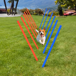 PawHut Pet Agility Set Training Dogs Outdoor Outward Play Adjustable Pole - Additional view 4