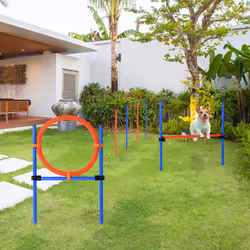 PawHut Pet Agility Set Training Dogs Outward Outdoor Play Hurdle Jump Hoop Pole