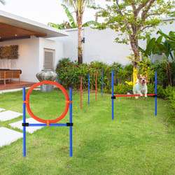 PawHut Pet Agility Set Training Dogs Outward Outdoor Play Hurdle Jump Hoop Pole