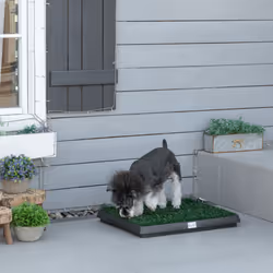 PawHut Dog Toilet Pet Potty 2 Layer Grass Mat Trainer Tray Training Portable NEW