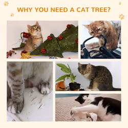 PawHut Cat Tree Scratcher Activity Centre, Scratching Post w/ Cat House, Bed - Additional view 5