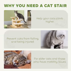 PawHut Cat Steps 3 Stairs Deluxe Pet Portable Easy Climb Assistance Lightweight - Additional view 5