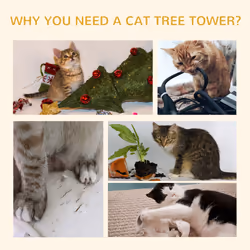 PawHut 240-260cm Floor to Ceiling Cat Tree with Scratching Posts - White
