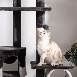 PawHut 240-260cm Floor to Ceiling Cat Tree with Scratching Posts - White - Additional view 6