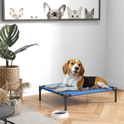 Pawhut Elevated Pet Bed Cool Cot Dog Sleep Folding Indoor Outdoor Camping 76Lcm
