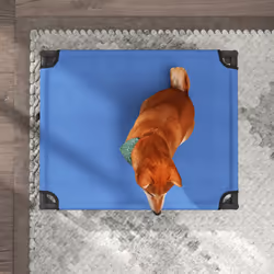 Pawhut Elevated Pet Bed Cool Cot Dog Sleep Folding Indoor Outdoor Camping 76Lcm - Additional view 7