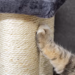 PawHut Dog Steps for Bed 4 Step Pet Stairs ladder for Dog Cat Scratch Post Grey - Additional view 6