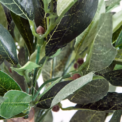 Outsunny Artificial Olive Tree Plant In an Orange Pot 90 cm for Home - Additional view 8