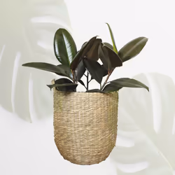 Seagrass Storage Basket
