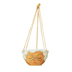 Sass & Belle  Indoor Garden Plant Rose Hanging Planter Small