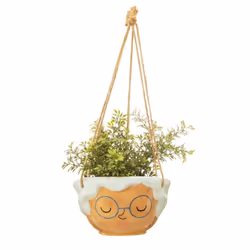 Sass & Belle  Indoor Garden Plant Rose Hanging Planter Small