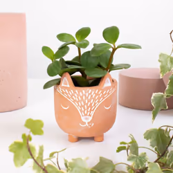 Mini Indoor Terracotta Planter, Home Decoration Gift, Fox Planter, Rustic Animal Plant Pot, Animal Lover Gift