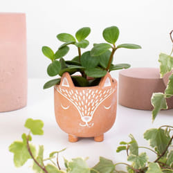 Mini Indoor Terracotta Planter, Home Decoration Gift, Fox Planter, Rustic Animal Plant Pot, Animal Lover Gift