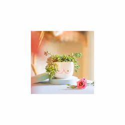 Sass & Belle Large Girl Power Boobies White Planter