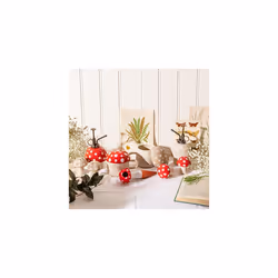 Red Mushroom Plant Mister