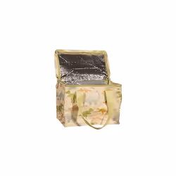 Sass & Belle Desert Dino Lunch Bag