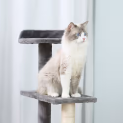 PawHut Cat Tree Activity Centre Kitten Climbing Tower Scratching Post Plush - Additional view 5