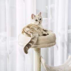 PawHut Cat Tree for Indoor Cats with Scratching Post Perch Tunnel Beige - Additional view 5