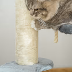 PawHut Cat Tree Scratcher Kitty Activity Center 2 Perch Sisal Rope Grey - Additional view 7