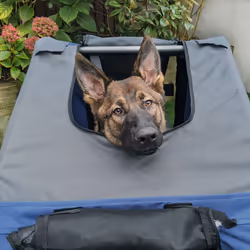 PawHut Pet Bicycle Trailer Dog Cat Bike Carrier Water Resistant Blue Outdoor - Additional view 8
