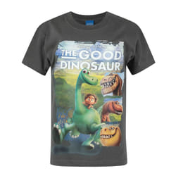 Disney Short Sleeved T-Shirt (Boys Grey)