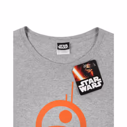 Star Wars Short Sleeved T-Shirt (Womens Grey) - Large