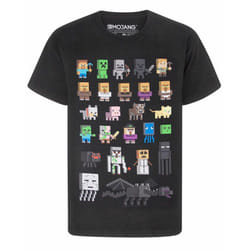 Minecraft Sprites Boys Black T-Shirt - 14-15 Years