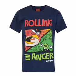 Angry Birds Short Sleeved T-Shirt (Boys Blue) - 9-10 Years
